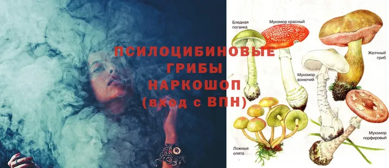 где купить наркотик  Нижняя Тура  Псилоцибиновые грибы Psilocybe 